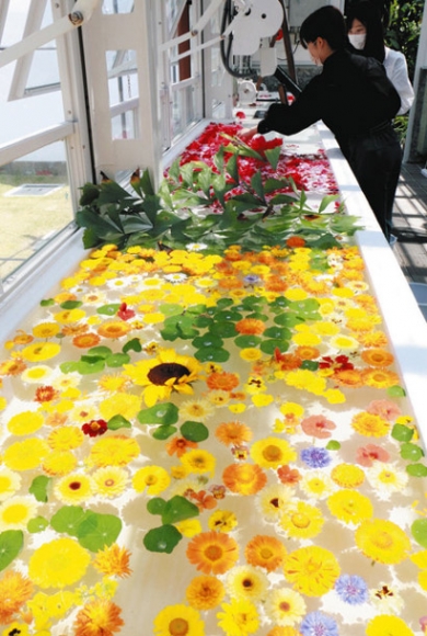 廃棄される予定だった花を水に浮かべ、フローティングフラワーとして展示する学生たち＝千種区の東山動植物園で