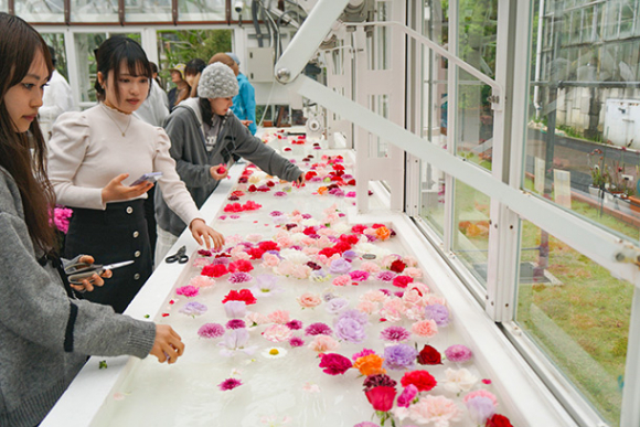 水面に切った花を浮かべていく学生たち＝千種区の東山動植物園で