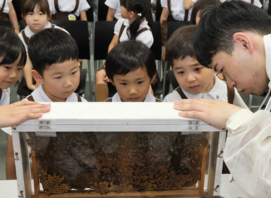 学生の説明を受けながらミツバチを観察する園児たち＝熱田区の名古屋学院大で