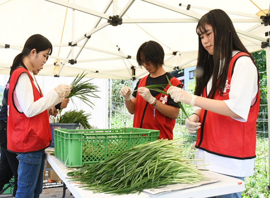 被災地に届けるニラを準備する女子生徒（右）ら＝美濃市下河和で