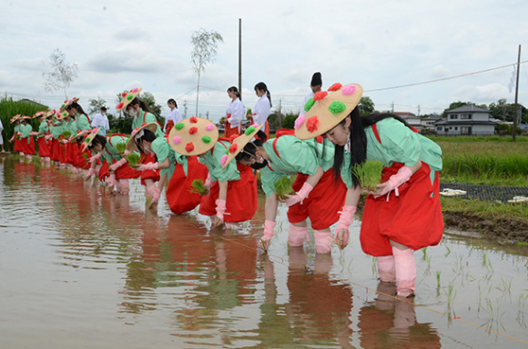 早乙女姿で苗を植える生徒ら=愛西市の神饌田で