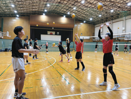 星城高校バレーボール部の選手と一緒に練習するウルフドッグス名古屋ジュニアチームの選手（右）＝豊明市の星城高で