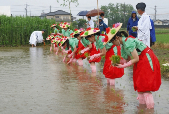 早乙女姿で苗を植える生徒たち＝愛西市下一色町で（津島神社提供）