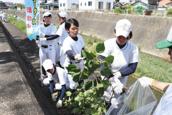 清掃活動に励む生徒たち＝本巣市の糸貫川で