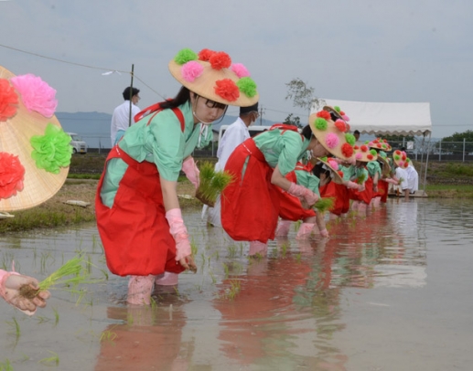 鮮やかな花がさをかぶり、苗を植える生徒ら＝愛西市下一色町で