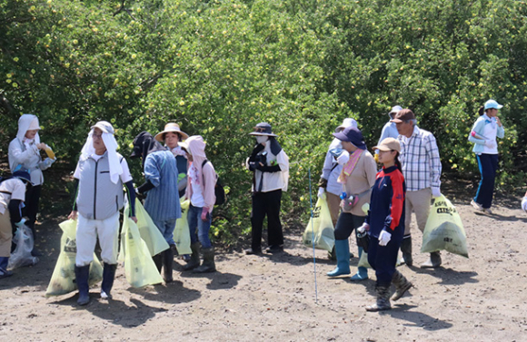 ハマボウの群生地でごみを拾う参加者たち＝松阪市の松名瀬海岸で