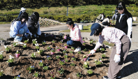 花壇でパンジーの苗を植える生徒たち＝長久手市の愛・地球博記念公園で