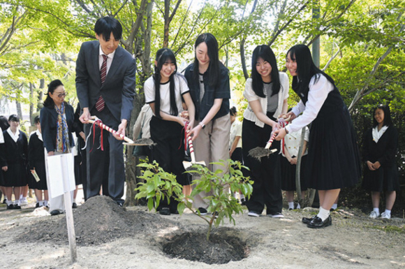植樹したクスノキの根元に土をかぶせる生徒ら＝千種区の椙山女学園中・高で