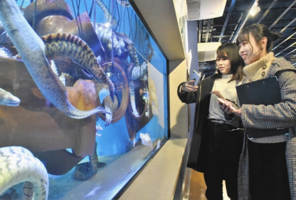 竹島水族館を訪れ、スマートフォンで魚たちの写真を撮る椙山女学園大の学生＝蒲郡市竹島町で