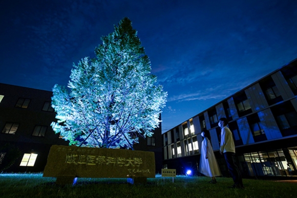 青く照らされたメタセコイアの木＝可児市虹ケ丘の岐阜医療科学大可児キャンパスで
