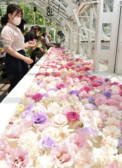 温室の展示台の水面に花を浮かべる学生ら＝千種区の東山動植物園で