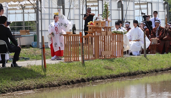 田植えの前に神楽を奉納して豊作を祈る皇学館大の学生たち＝明和町前野で