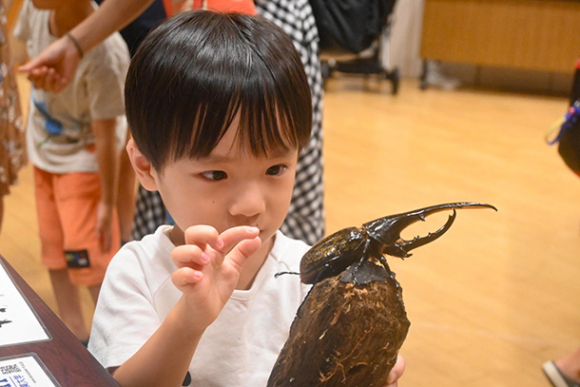 ヘラクレスオオカブトに触ろうと指を近づける来場者＝白山市八幡町で