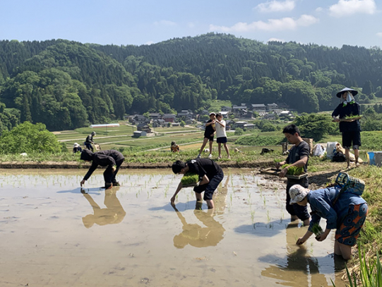 日本の原風景ともいえる棚田で手植えする学生や企業人ら=金沢市牧山町で