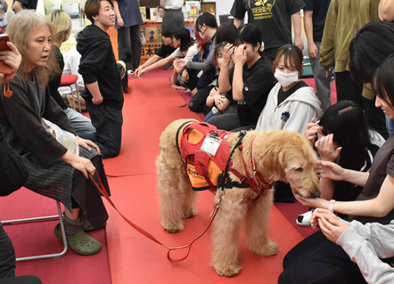 学生たちと触れ合う介助犬のしゅうくん＝岐阜市の岐阜保健大で