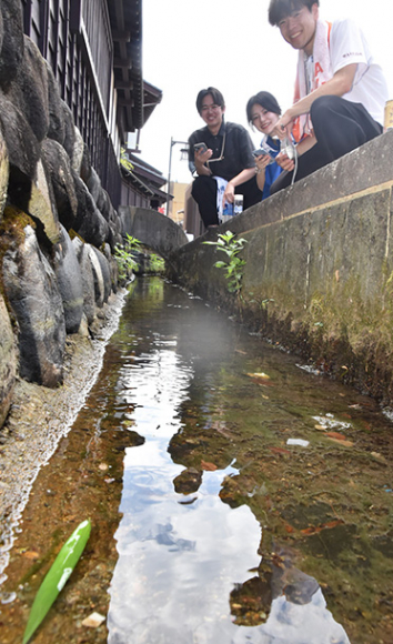 ササを浮かべて流速を測る学生ら＝郡上市八幡町で