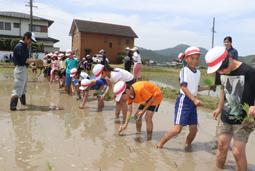 一列に並んで苗を植えていく児童＝２５日、岐阜市の三輪南小近くで