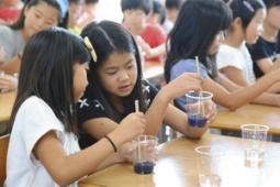 片栗粉を加えた水がヨウ素液によって白から青紫に変化し、興味を示す児童＝２３日、豊郷町の豊郷小で
