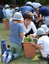 花を植える野立小の児童と名古屋学院大の学生＝熱田区の白鳥庭園で